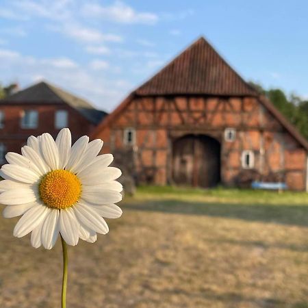 Ferienwohnung Elbsegler Bleckede Bagian luar foto