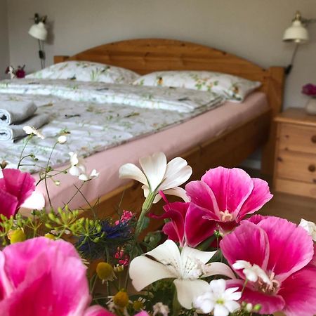 Ferienwohnung Elbsegler Bleckede Bagian luar foto