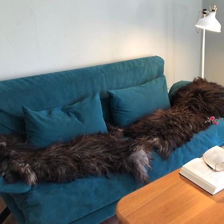Ferienwohnung Elbsegler Bleckede Bagian luar foto
