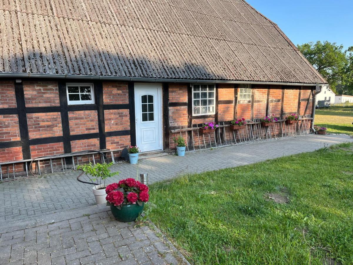 Ferienwohnung Elbsegler Bleckede Bagian luar foto