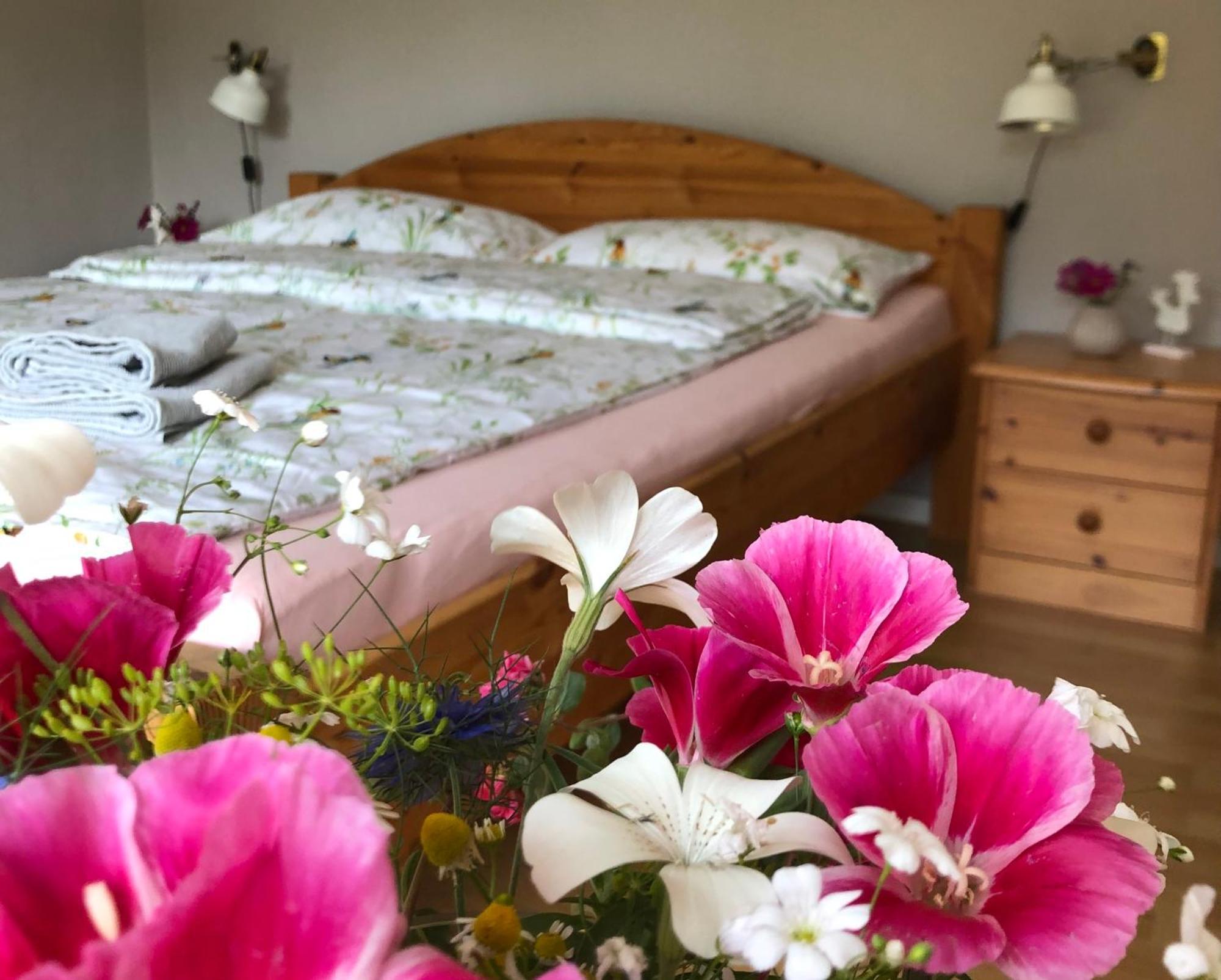Ferienwohnung Elbsegler Bleckede Bagian luar foto
